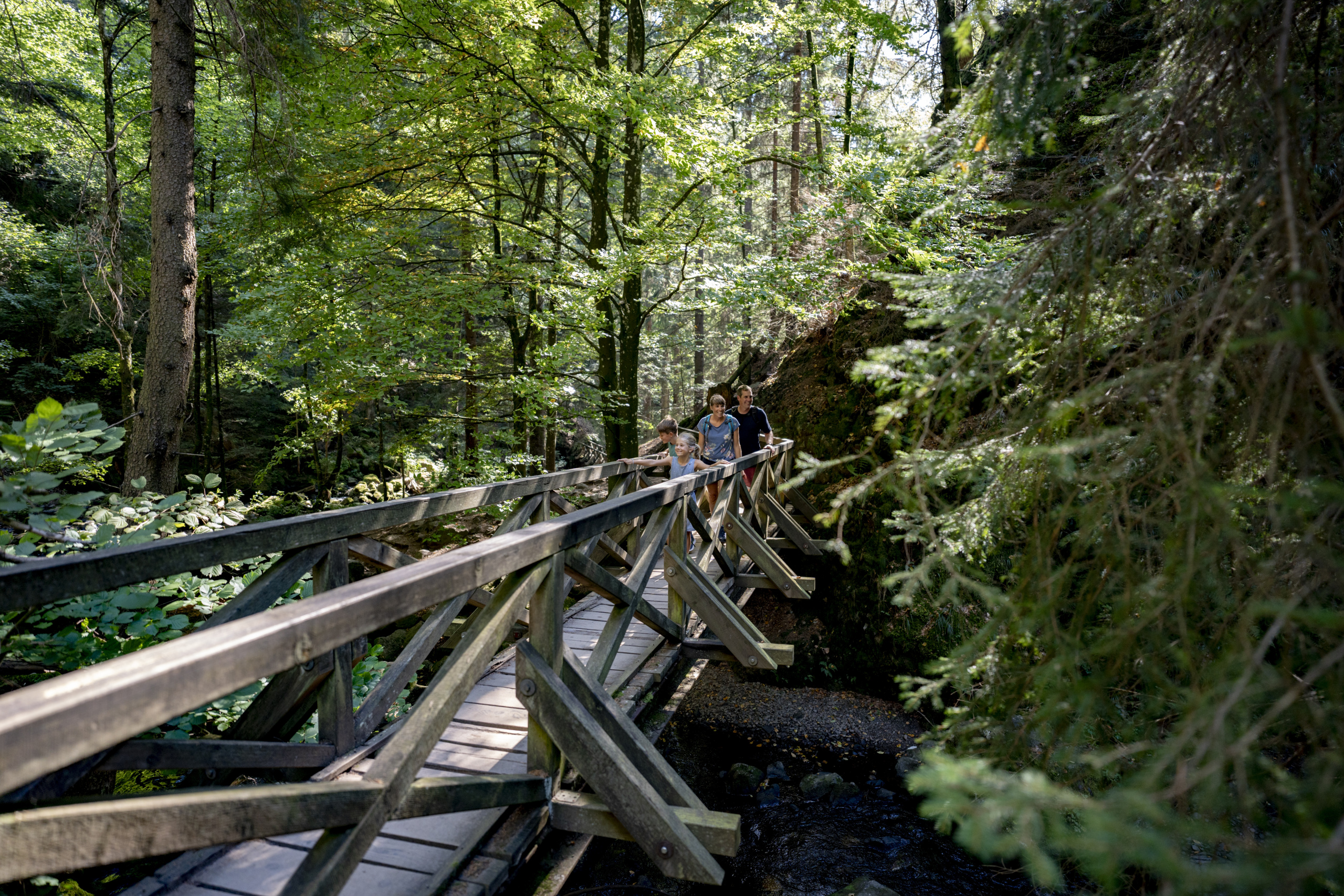 An excursion activity with the whole family